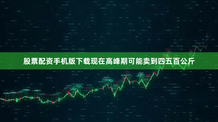 股票配资手机版下载现在高峰期可能卖到四五百公斤