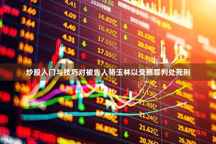炒股入门与技巧对被告人骆玉林以受贿罪判处死刑