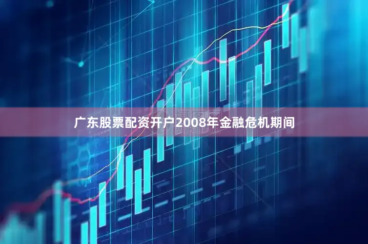 广东股票配资开户2008年金融危机期间