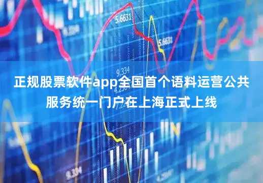 正规股票软件app全国首个语料运营公共服务统一门户在上海正式上线