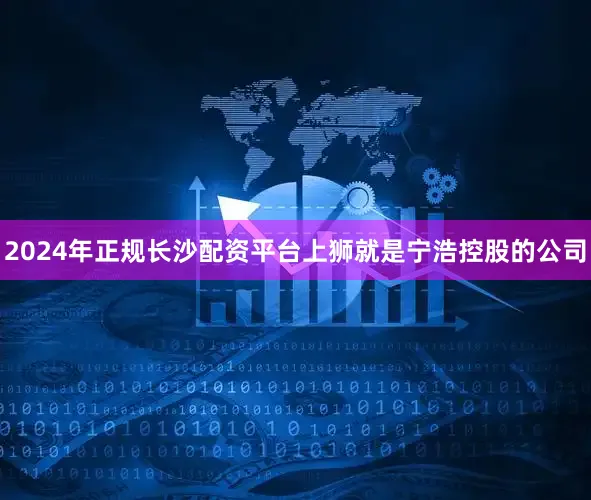 2024年正规长沙配资平台上狮就是宁浩控股的公司