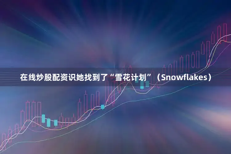 在线炒股配资识她找到了“雪花计划”（Snowflakes）