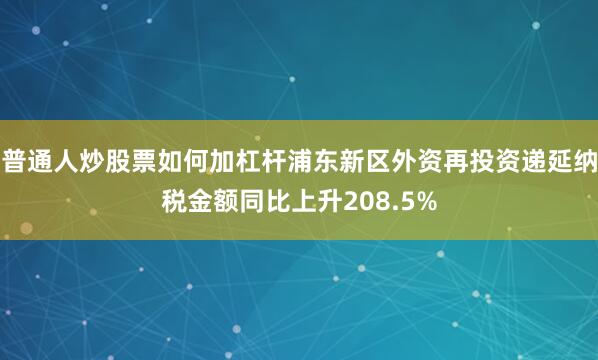 普通人炒股票如何加杠杆浦东新区外资再投资递延纳税金额同比上升208.5%